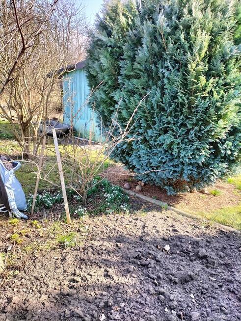 PILNE ! SPRZEDAM WYJATKOWE ROD - o powierzchni - 150m2