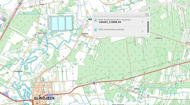 90 letni las Juliszewo