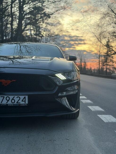 Wynajem Wypożyczenie RAM 1500 Ford Mustang GT 5.0 - DRIVE IT