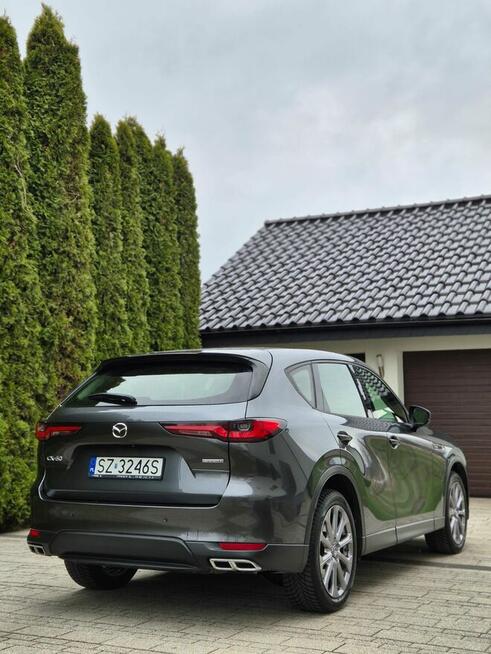 Mazda CX-60 3.3D I rejestracji. 02.2024
