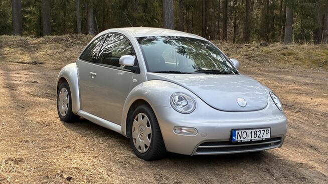 New Beetle