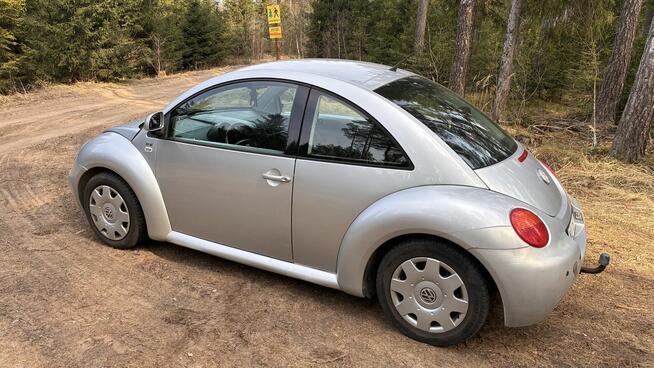 New Beetle