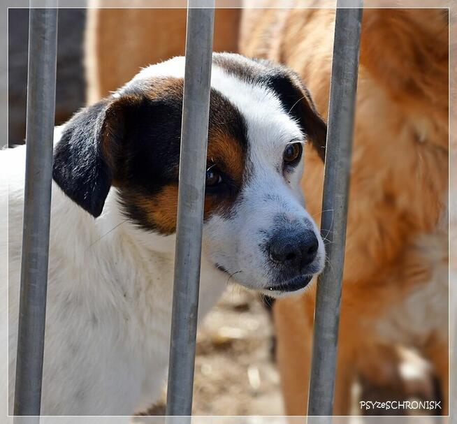 Kaja - wrażliwa piękność o wielkim sercu