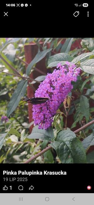 Sprzedam działkę reakracyjna