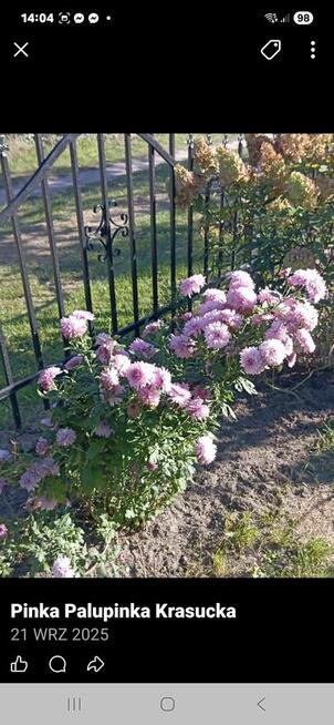 Sprzedam działkę reakracyjna