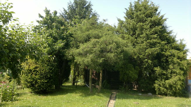 Sprzedam działkę rekreacyjną ROD z domkiem w Wieliczce