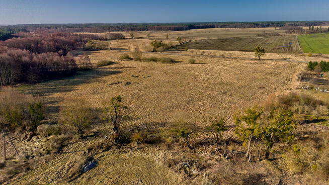 Działka o powierzchni 9,74 ha w Kotuniu na sprzedaż