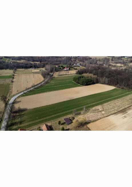 Widokowa działka - Buchcice nieopodal Tuchowa