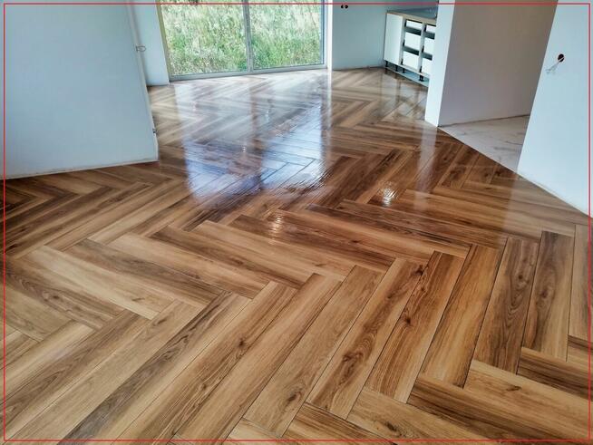 GLAZURNIK , WOLNY TERMIN, Łódź