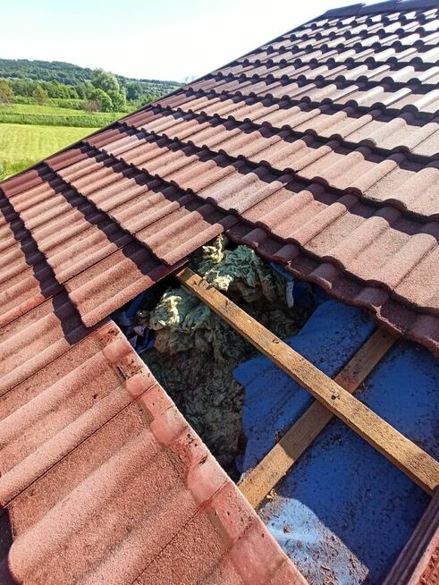 Naprawa dachu po kunach - WARSZAWA