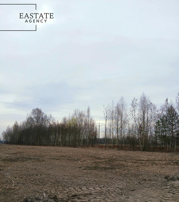 Działka budowlana Koryta gm. Prażmów,