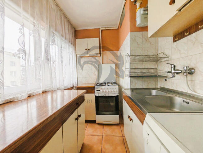 Bałucka Enklawa: Twój Własny Hotel California