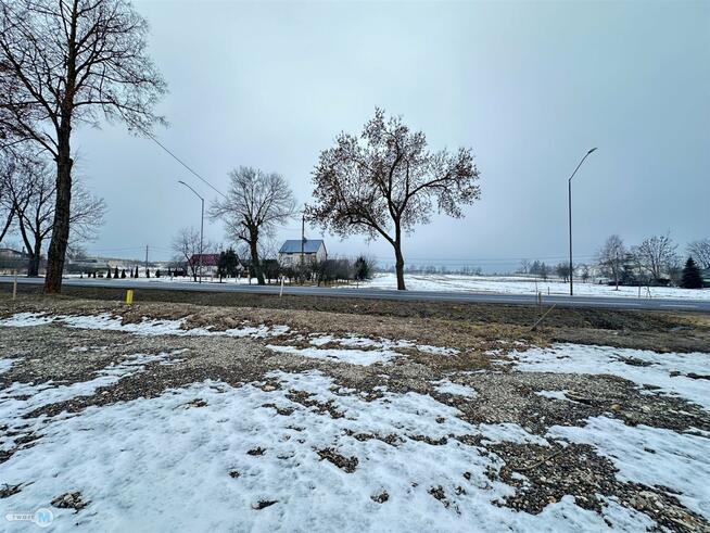 Działka rolna Celiny Celiny