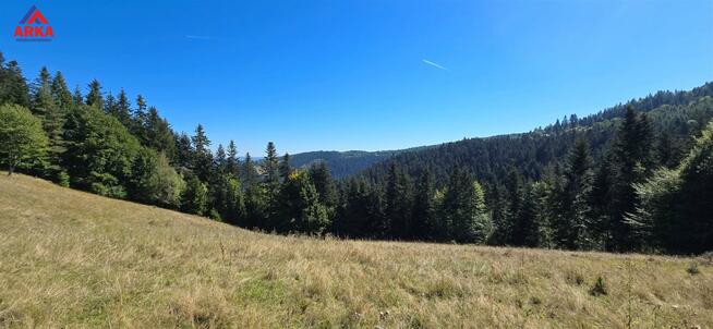 Dom Piwniczna-Zdrój