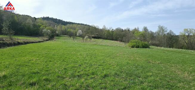 Działka budowlana Zbludza gm. Kamienica