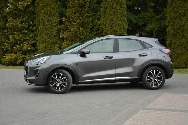 Ford Puma Panorama Radar ACC Ledy Duża Navi Kamera Park Assist As. Pasa BLIS
