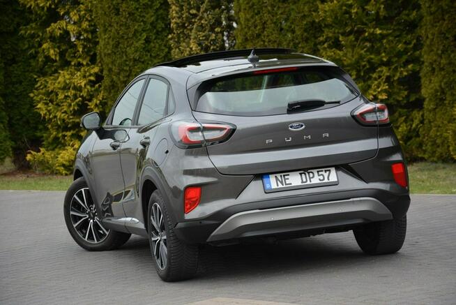 Ford Puma Panorama Radar ACC Ledy Duża Navi Kamera Park Assist As. Pasa BLIS