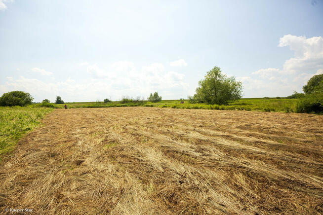 Działka rolna- Zaborów- Brzesko-Małopolska