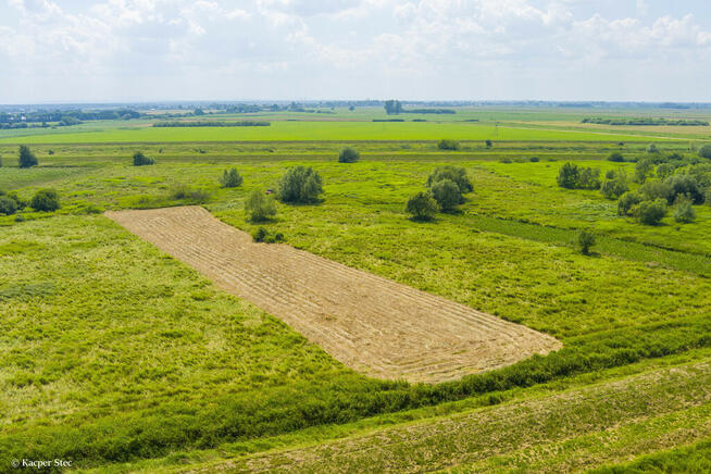 Działka rolna- Zaborów- Brzesko-Małopolska