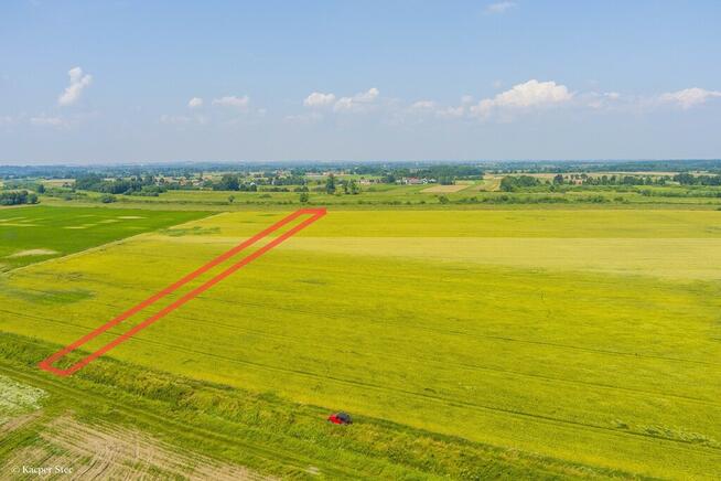 Działka rolna Szczurowa- Brzesko-Małopolska