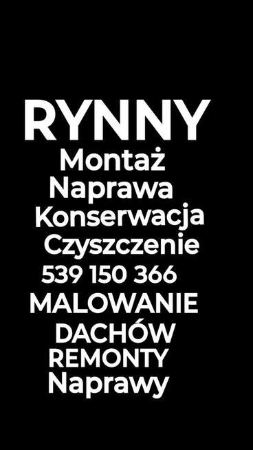 Malowanie Dachów Wszelkie REMONTY Naprawy Papowanie