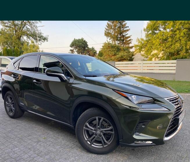 Lexus NX 300h z gazem