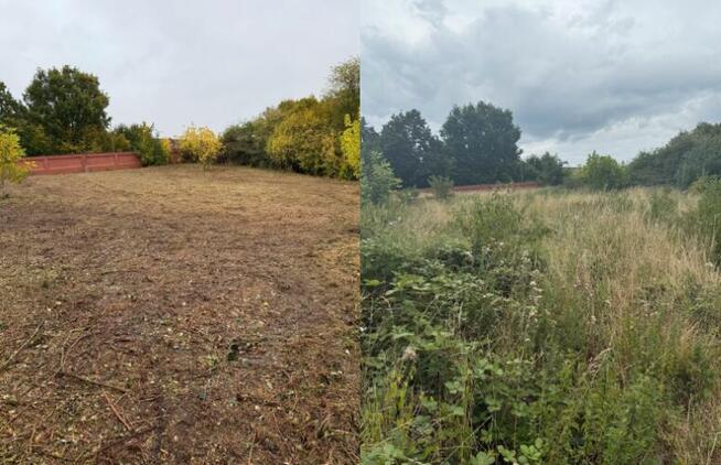 CZYSTA ZIEMIA OGRODOWA Czarnoziem Na trawnik podniesienie