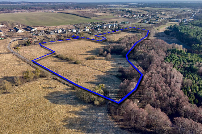 Działka o powierzchni 9,74 ha w Kotuniu na sprzedaż