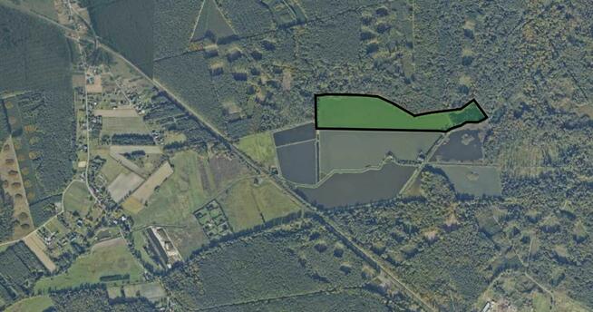 Stawy rybne 12 ha – inwestycja, hodowla ryb |Opolskie