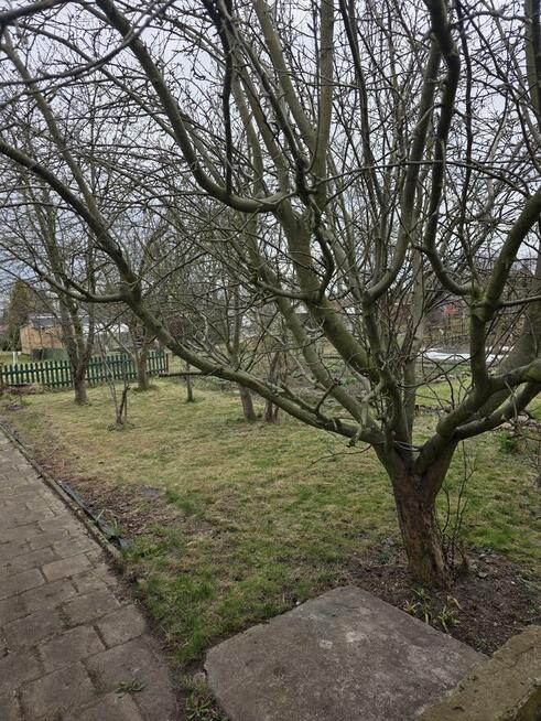 Sprzedam działkę ROD „Kopernik” – Nowa Sól – 4 ary, studnia,