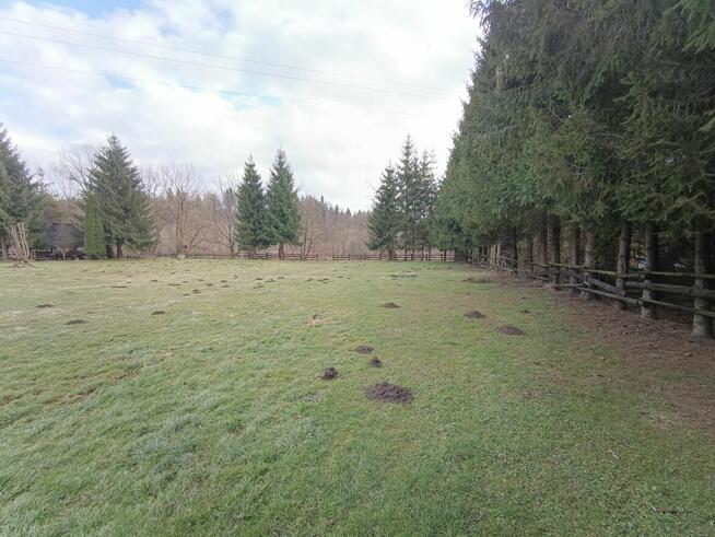 Działka pod zabudowę z dostępem do rzeki, Załuż, gmina Sanok