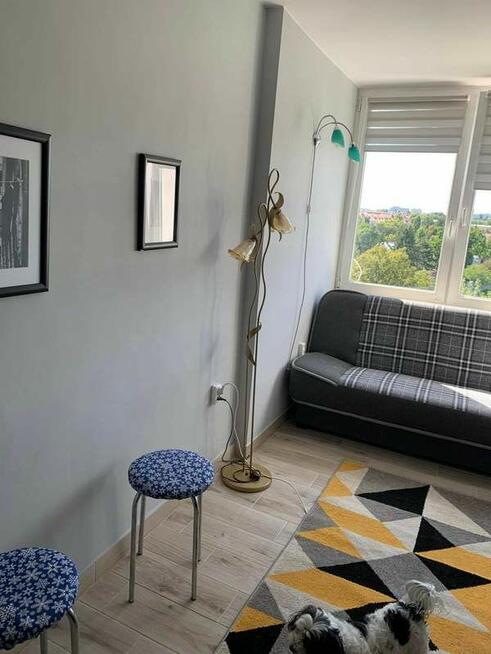 Umeblowane i wyposażone mieszkanie 35,11mm na zielonym Żolib