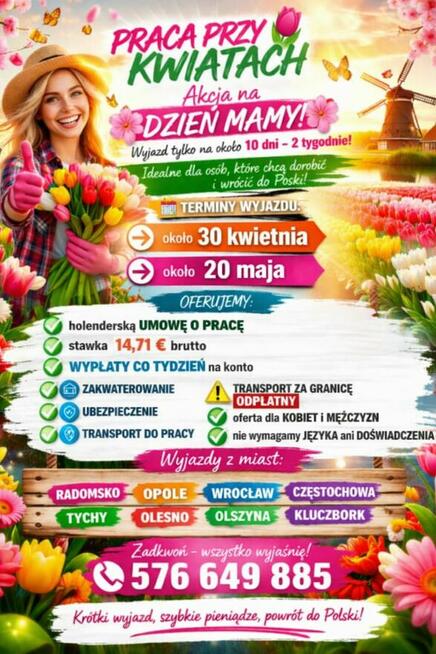 Praca w Holandii