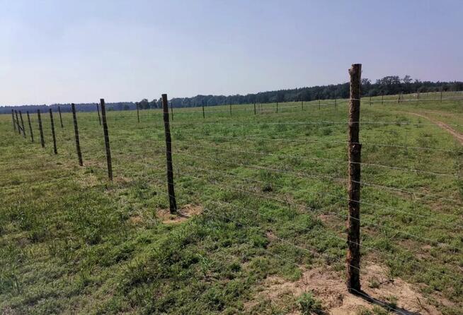 Płot Panelowy Ogrodzenie panelowe betonowe Siatka leśn Panel