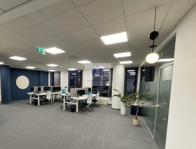 Lokal użytkowy Warszawa Ochota, Niemcewicza