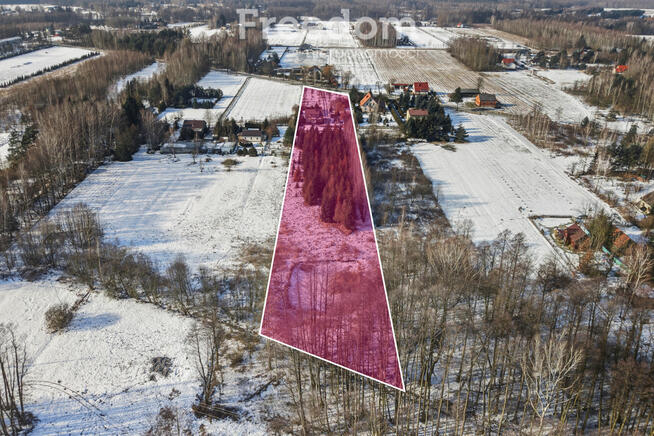 Dom na dużej hektarowej działce Skuły