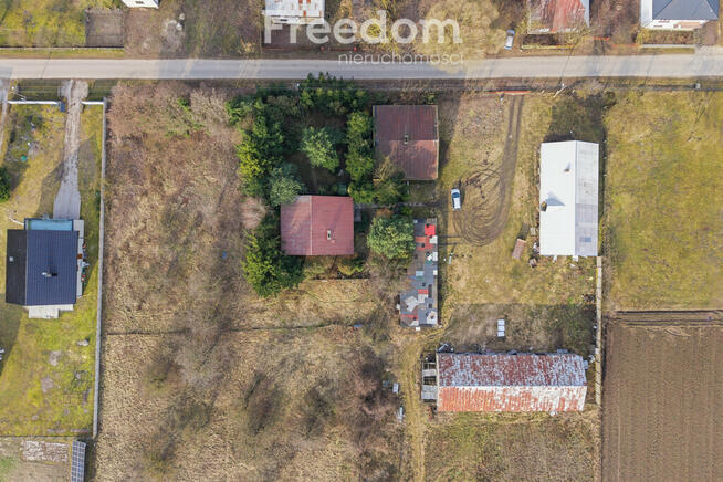 11 ha w Korytnie gm. Masłowice