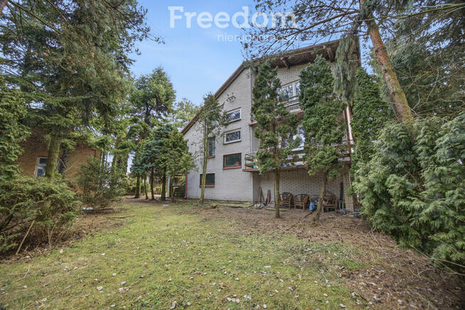 11 ha w Korytnie gm. Masłowice