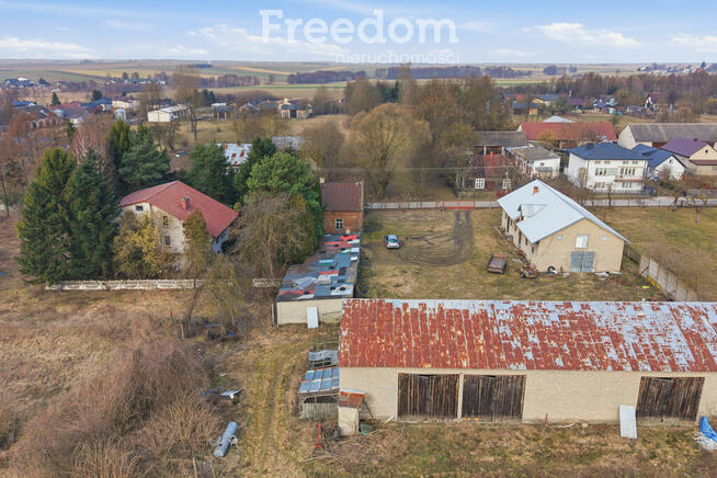 11 ha w Korytnie gm. Masłowice