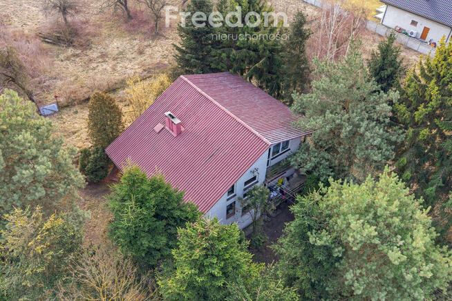 11 ha w Korytnie gm. Masłowice