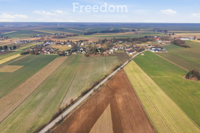 11 ha w Korytnie gm. Masłowice