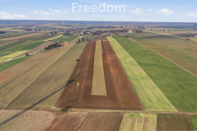 11 ha w Korytnie gm. Masłowice