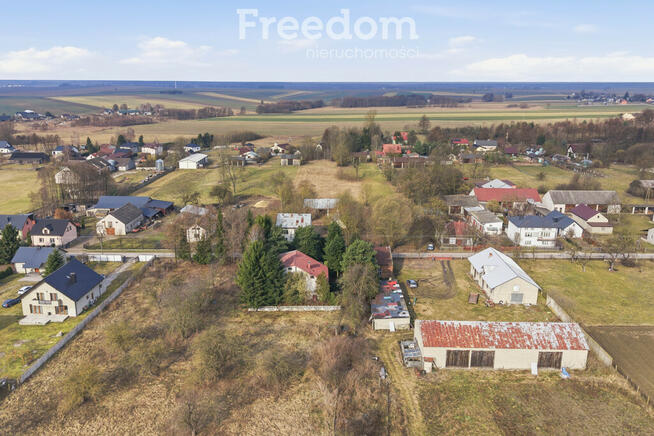 11 ha w Korytnie gm. Masłowice