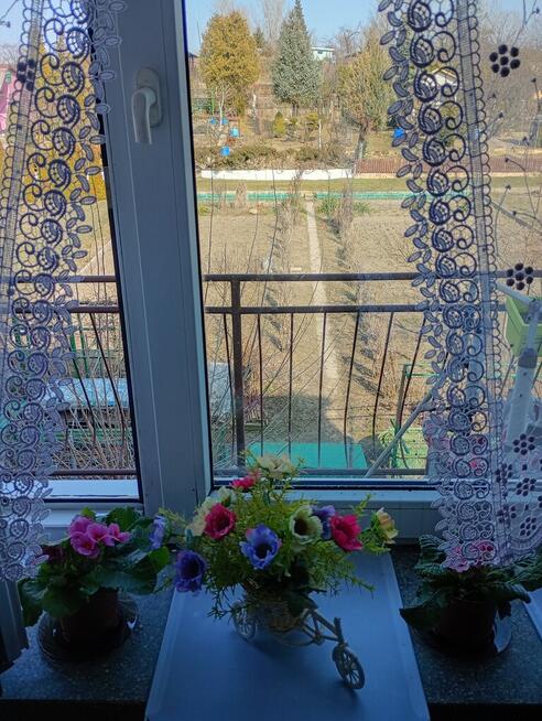 Dom pow. 125 m2 (pół bliźniaka) Włostowice Puławy.