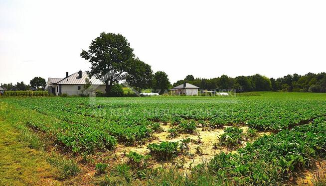 Dom Nałęczów Wąwozy, Nałęczów