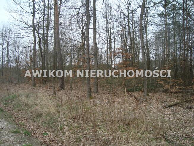 Działka budowlana Many gm. Tarczyn