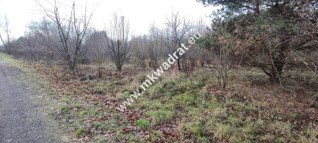 ⭐⭐⭐⭐ Działa 1122 m MPZP media Budy Grzybek ⭐⭐⭐⭐