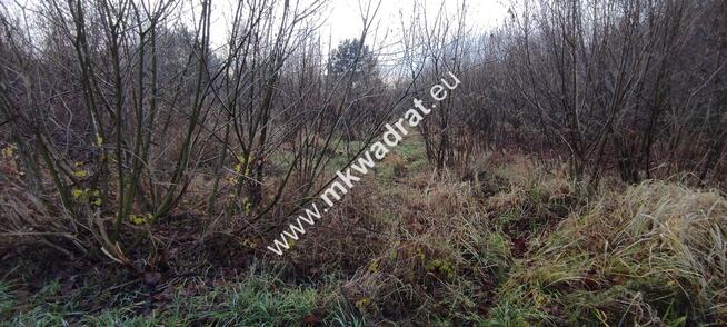 ⭐⭐⭐⭐ Działa 1122 m MPZP media Budy Grzybek ⭐⭐⭐⭐