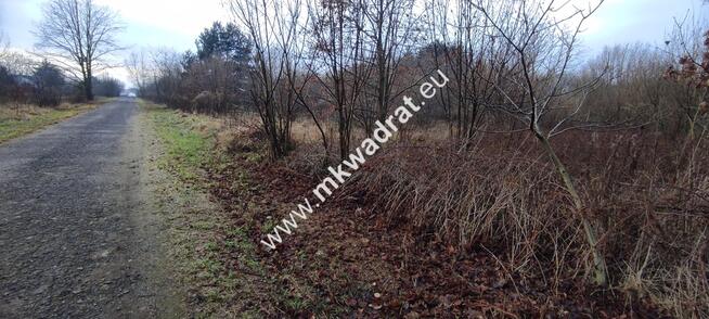 ⭐⭐⭐⭐ Działka Budowlana 1122 m Budy Grzybek ⭐⭐⭐⭐