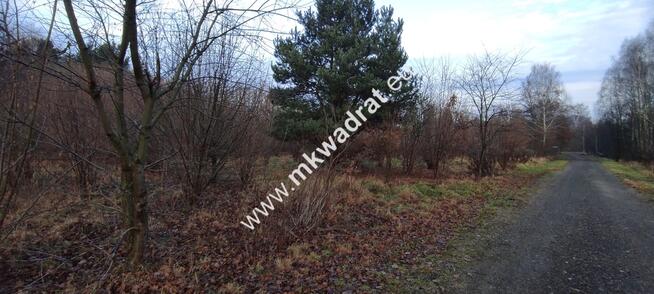 ⭐⭐⭐⭐ Działka Budowlana 1122 m Budy Grzybek ⭐⭐⭐⭐